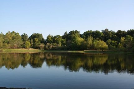 Farm and Ranch in Saline County, Illinois