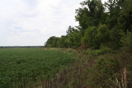 Farm and Ranch in Pope County, Illinois