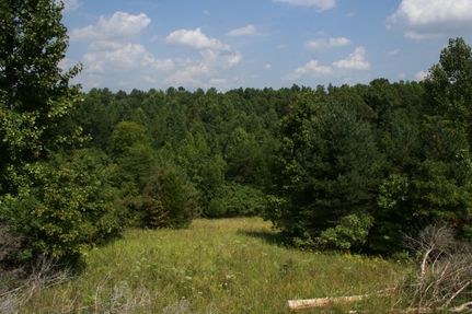 Farm and Ranch in Green County, Kentucky