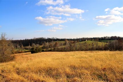 Farm and Ranch in Massac County, Illinois