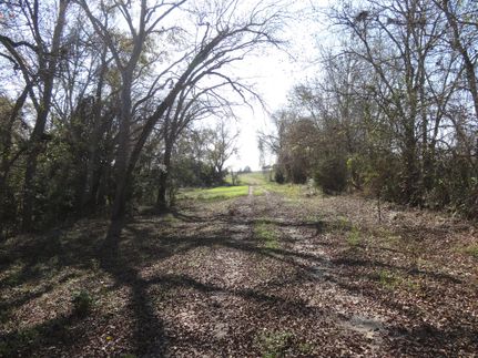 Farm and Ranch in Austin County, Texas