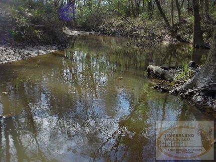 Land in Lawrence County, Mississippi