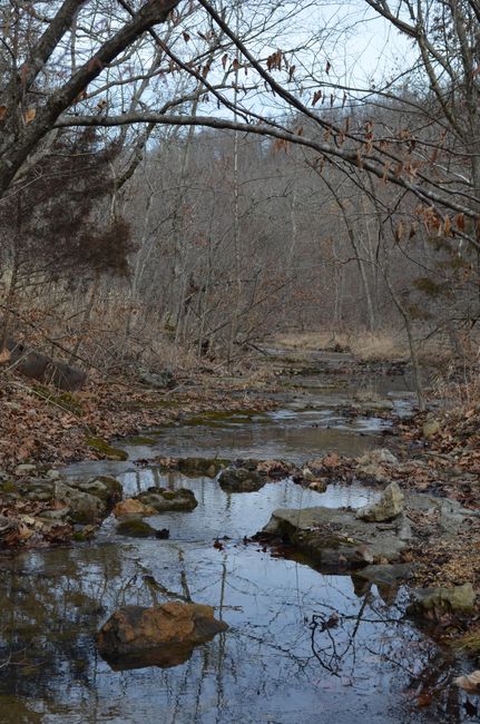 Farm and Ranch in Laclede County, Missouri