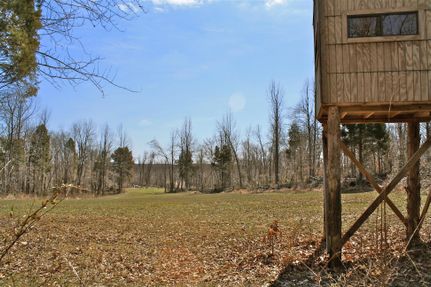 Farm and Ranch in Pope County, Illinois