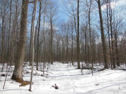 Farm and Ranch in Marathon County, Wisconsin