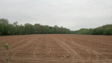 Farm and Ranch in Goochland County, Virginia