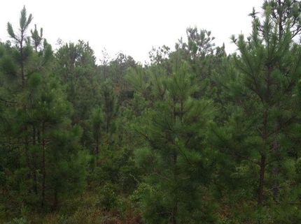 Farm and Ranch in Tallapoosa County, Alabama