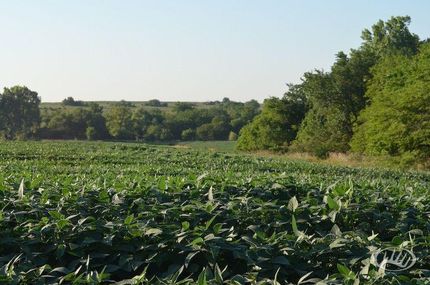 Farm and Ranch in Pawnee County, Nebraska