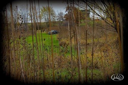 Farm and Ranch in Dodge County, Wisconsin