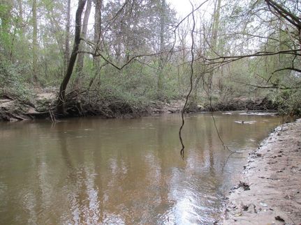 Farm and Ranch in Coffee County, Alabama