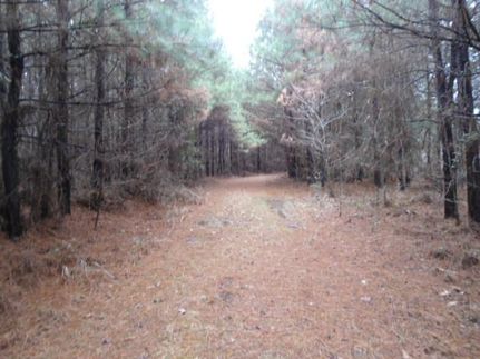 Farm and Ranch in Choctaw County, Alabama