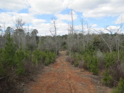 Land in Covington County, Alabama