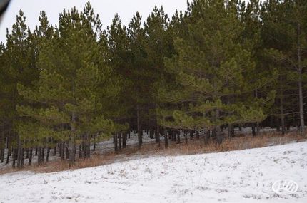 Land in Becker County, Minnesota