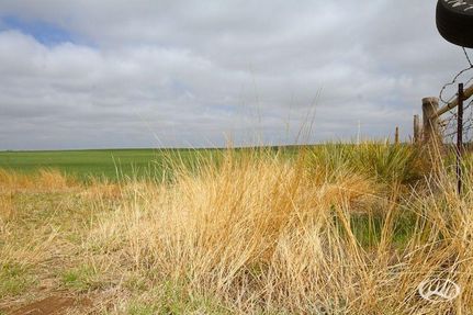 Farm and Ranch in Roger Mills County, Oklahoma