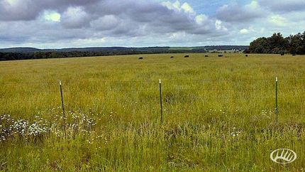 Farm and Ranch in Webster County, Missouri