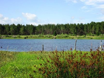 Farm and Ranch in Marengo County, Alabama