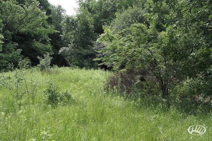 Farm and Ranch in Iroquois County, Illinois