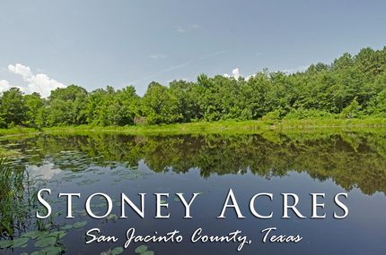 Farm and Ranch in San Jacinto County, Texas