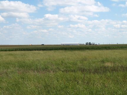 Land in Hale County, Texas