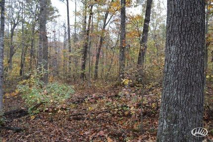 Farm and Ranch in Henry County, Tennessee