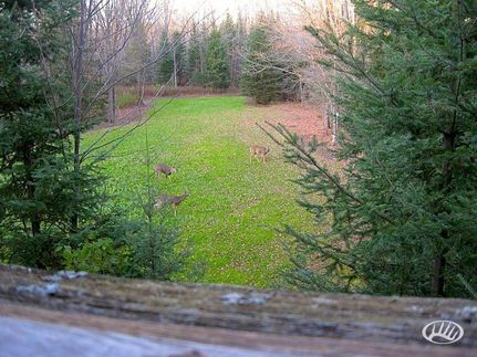 Farm and Ranch in Price County, Wisconsin