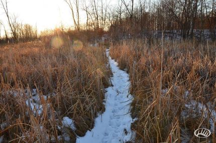 Land in Otter Tail County, Minnesota