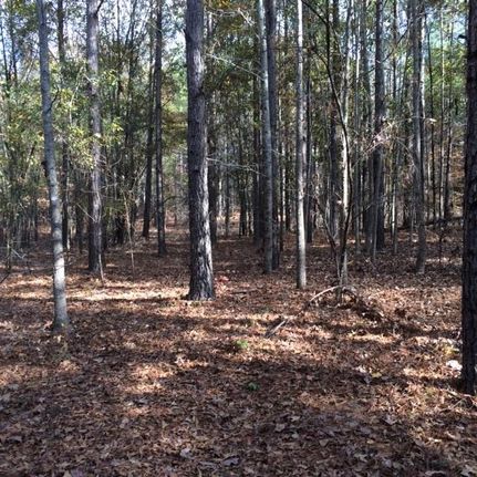Farm and Ranch in Chilton County, Alabama