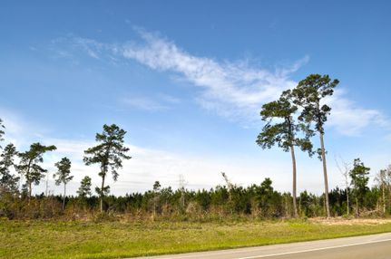 Farm and Ranch in San Augustine County, Texas