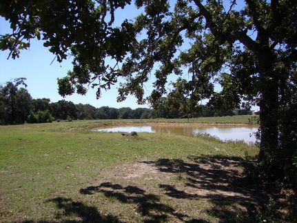 Farm and Ranch in Milam County, Texas