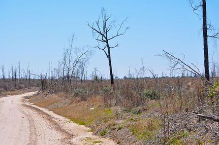 Land in Trinity County, Texas
