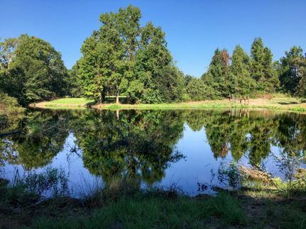 Recreational Property in Walker County, Texas