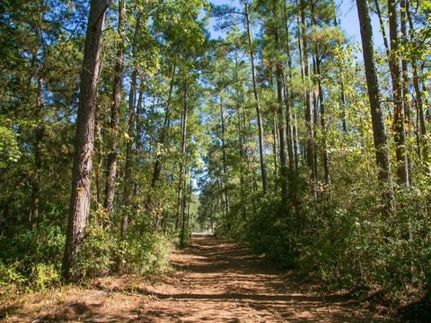 Recreational Property in Walker County, Texas