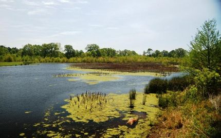 Farm and Ranch in Panola County, Texas
