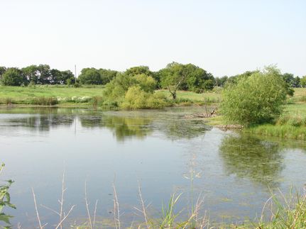 Farm and Ranch in Hunt County, Texas