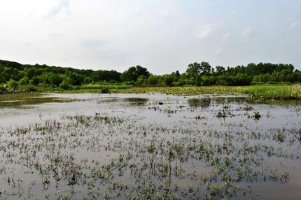 Farm and Ranch in Okfuskee County, Oklahoma