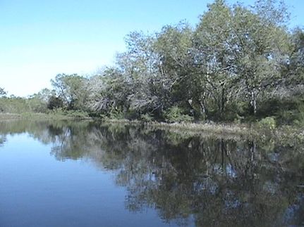 Land in Atascosa County, Texas