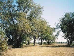 Farm and Ranch in Independence County, Arkansas