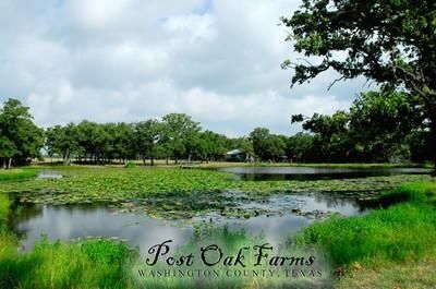 Undeveloped Land in Washington County, Texas