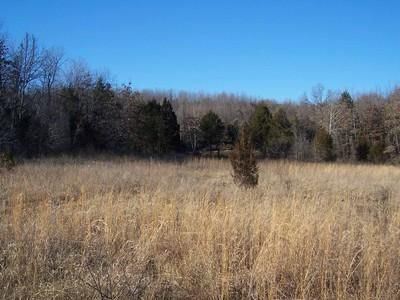 Farm and Ranch in Izard County, Arkansas