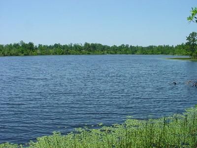 Farm and Ranch in Stone County, Mississippi