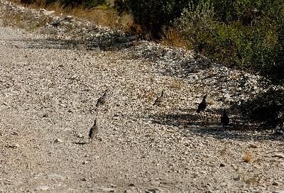 Land in Val Verde County, Texas