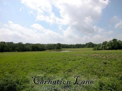 Farm and Ranch in Austin County, Texas