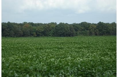 Farm and Ranch in Monroe County, Arkansas