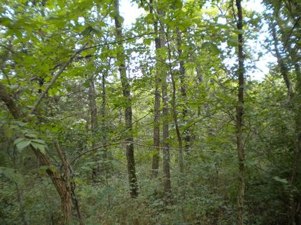 Farm and Ranch in Franklin County, Kansas