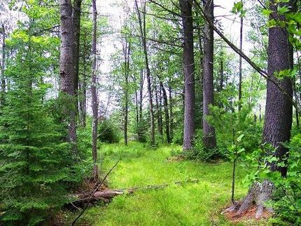 Farm and Ranch in Oneida County, Wisconsin
