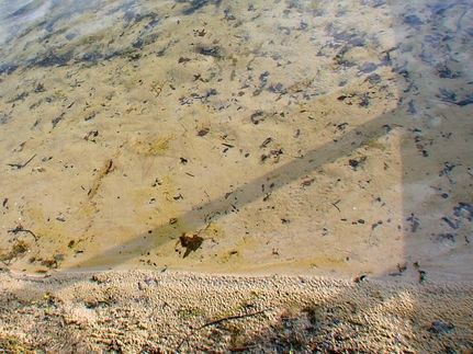 Recreational Property in Benzie County, Michigan