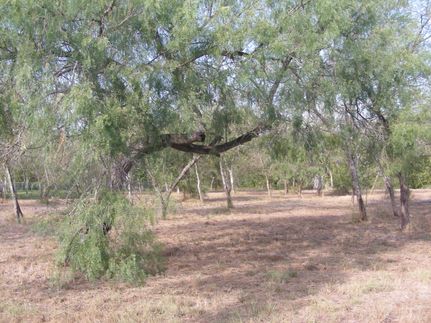Recreational Property in Nueces County, Texas