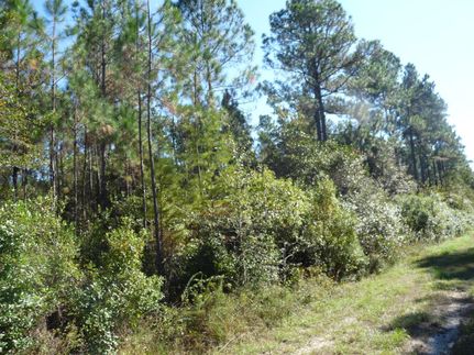 Farm and Ranch in Harrison County, Mississippi