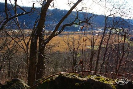 Farm and Ranch in Houston County, Minnesota
