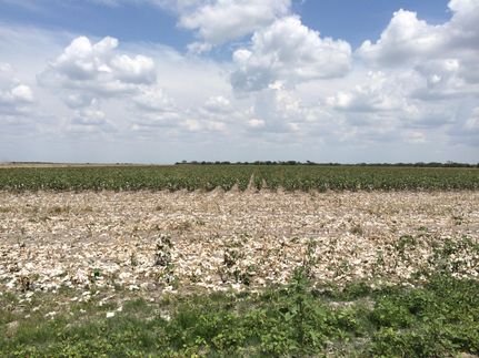 Farm and Ranch in Nueces County, Texas